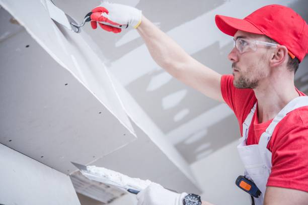 Best Commercial Painting  in Lisle, IL